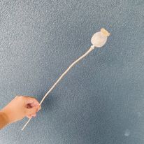Dried Papaver Stem