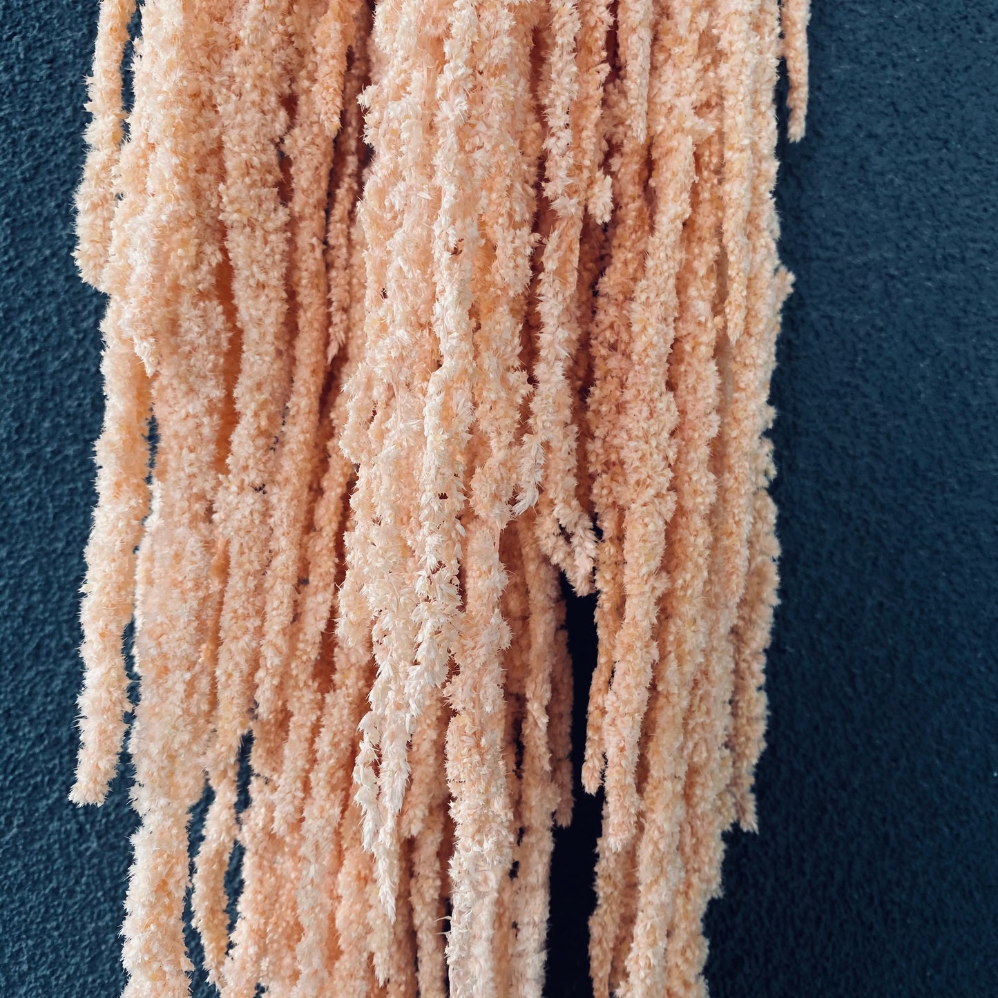 Preserved Amaranths Bunch