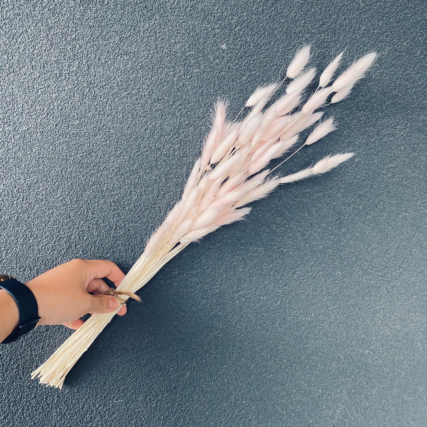 Dried Bunny tail Bunch