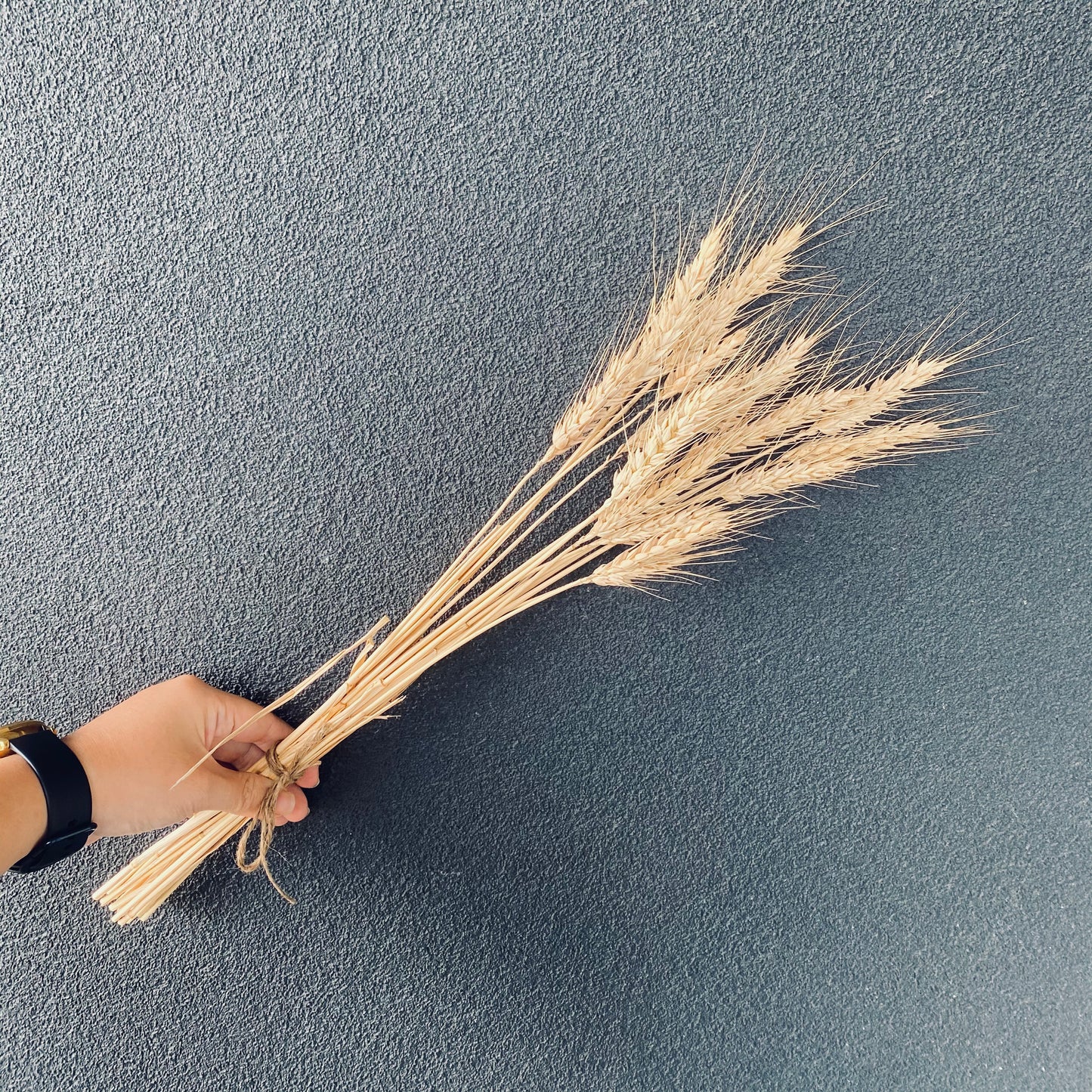 Dried Wheat Grass Bunch