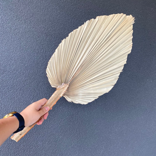 Dried Palm Leaf ( Large )